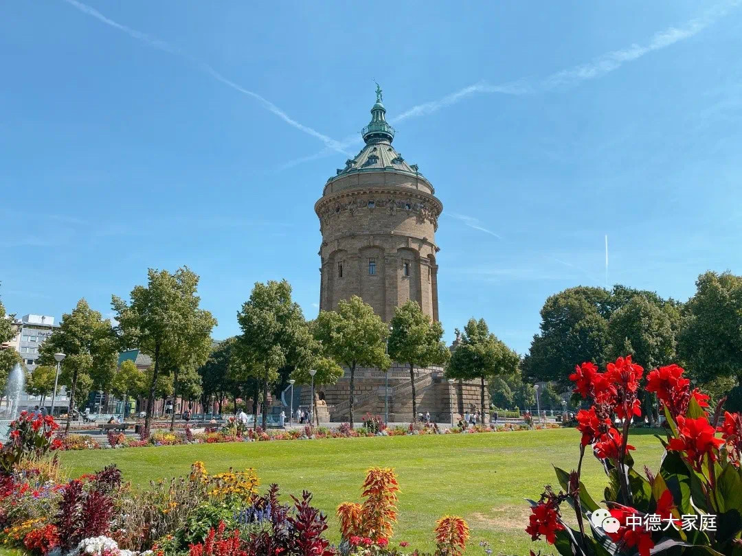 IMG_3092.JPG IMG_3092.JPG