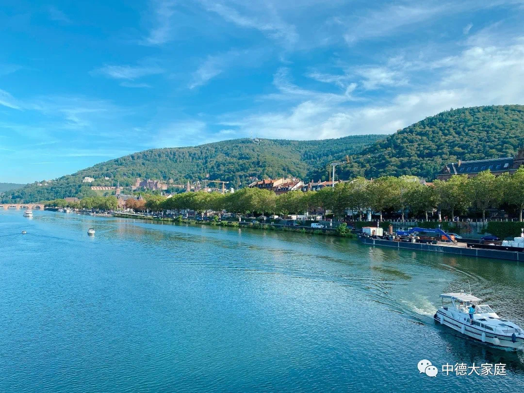 IMG_3096.JPG IMG_3096.JPG