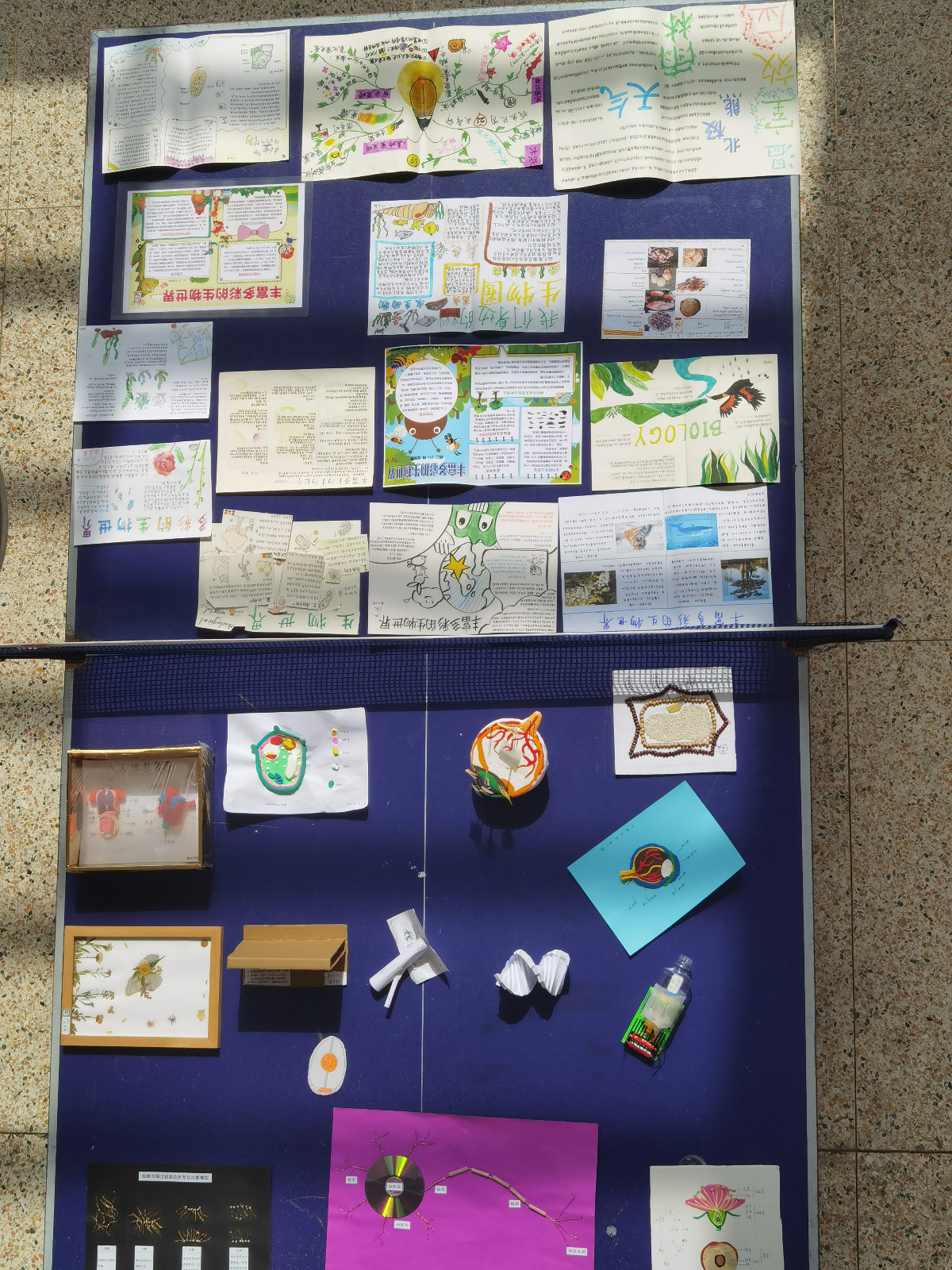 23411ee3ae51c6a86d5e771128518db.jpg 23411ee3ae51c6a86d5e771128518db.jpg