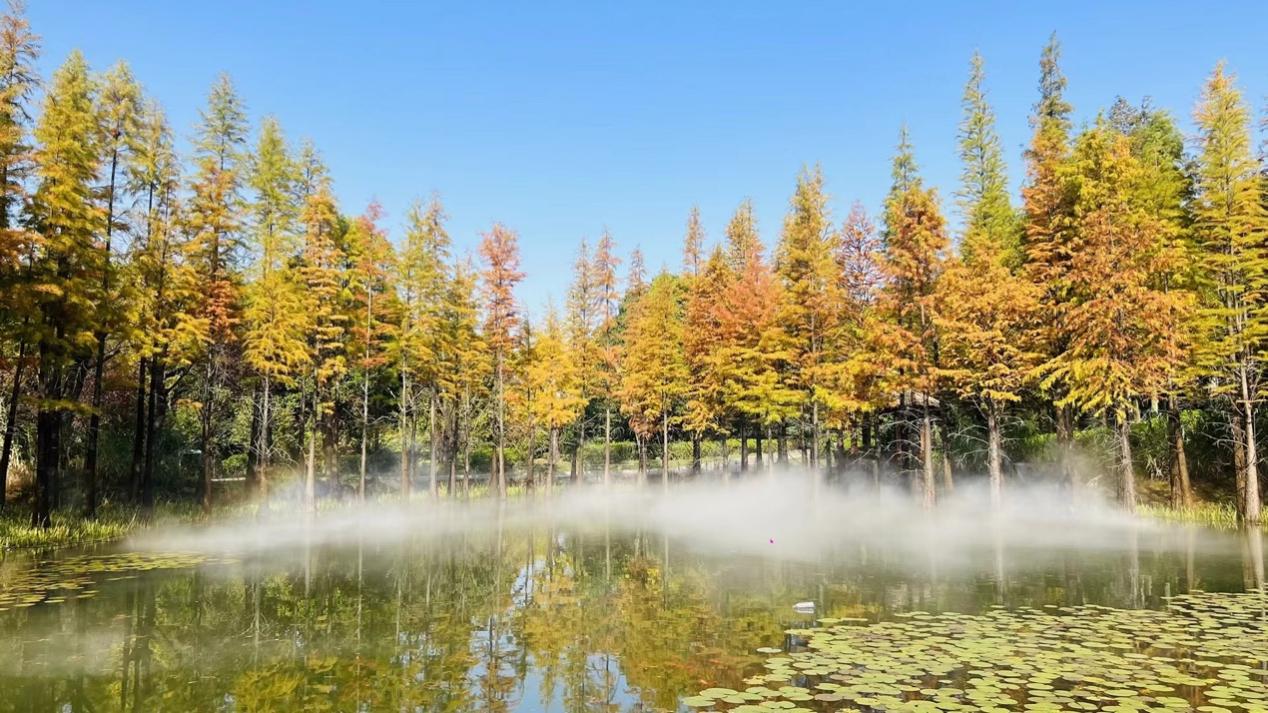 image007.jpg image007.jpg