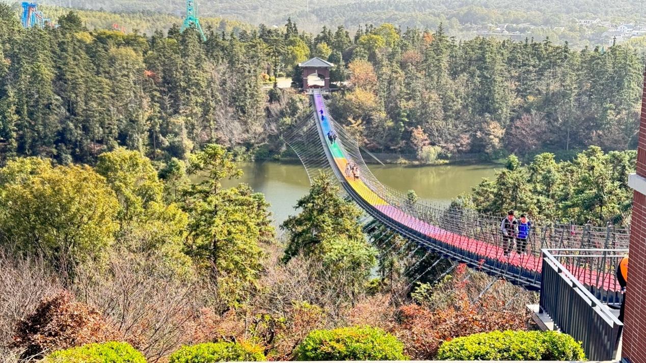 image009.jpg image009.jpg