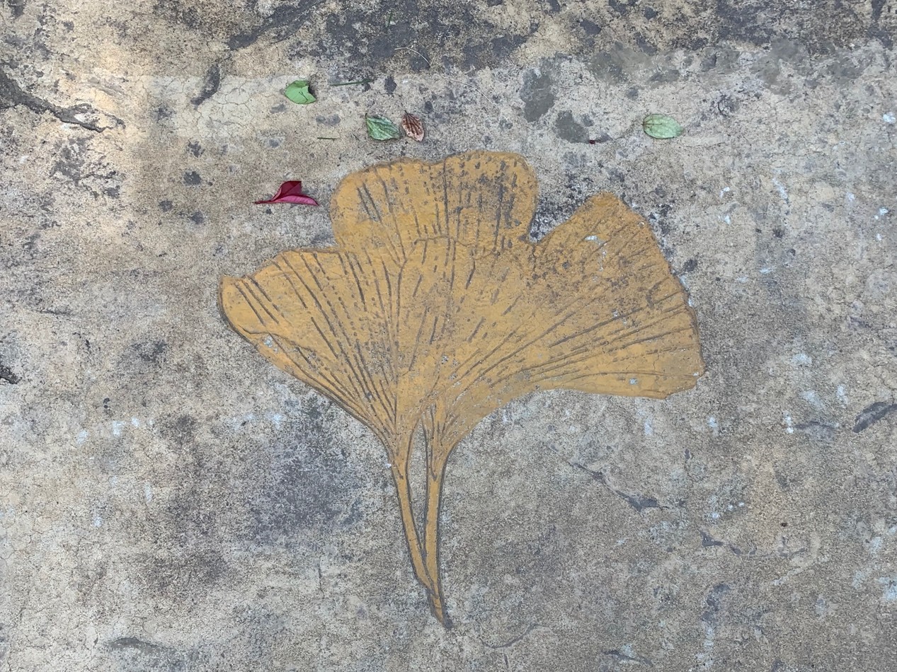 image003.jpg image003.jpg