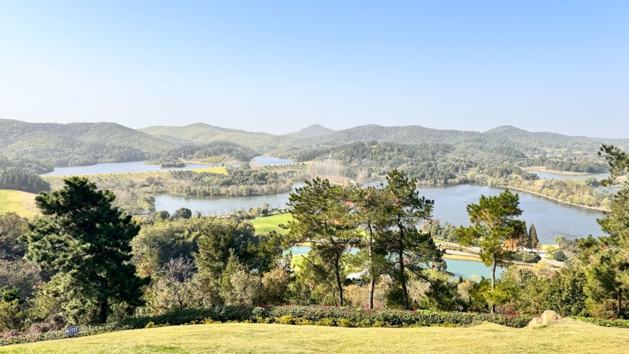 image005.jpg image005.jpg