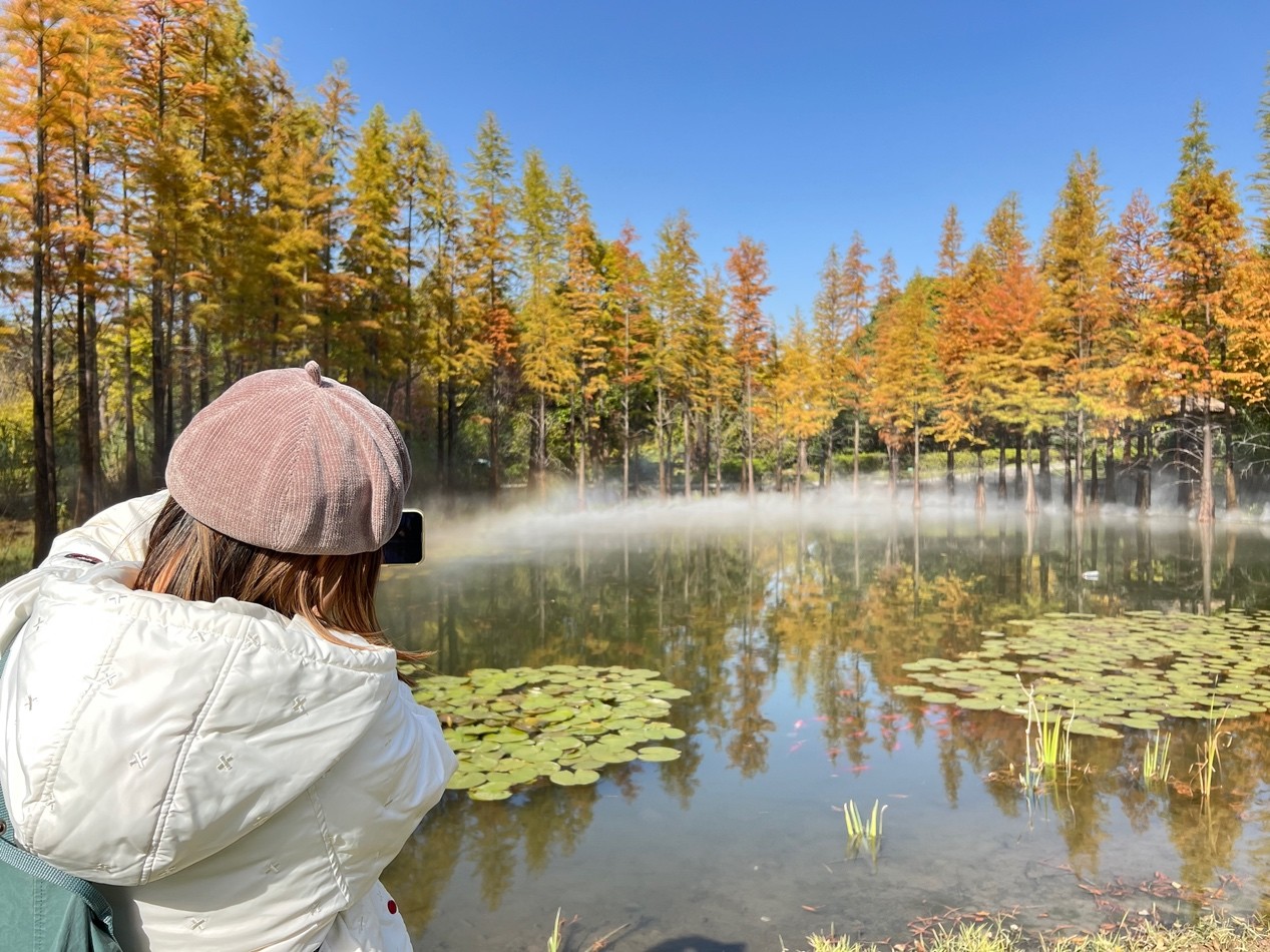 image023.jpg image023.jpg