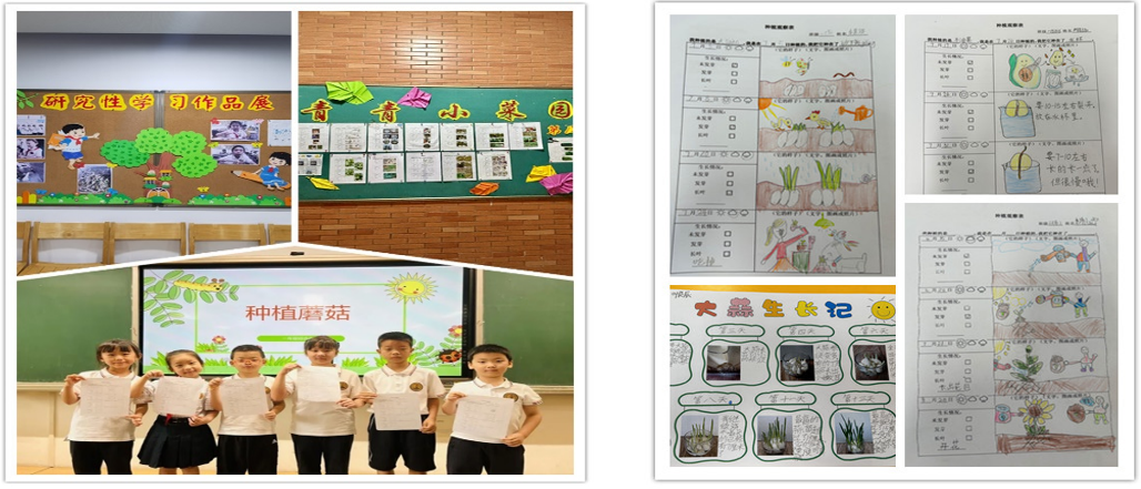 第12期研究性學習成果展示推送 - 副本_html_m7d1f5b1a.png 第12期研究性學習成果展示推送 - 副本_html_m7d1f5b1a.png