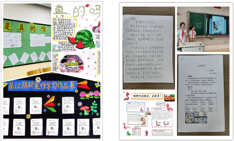 第12期研究性學習成果展示推送 - 副本_html_m82c7708.png